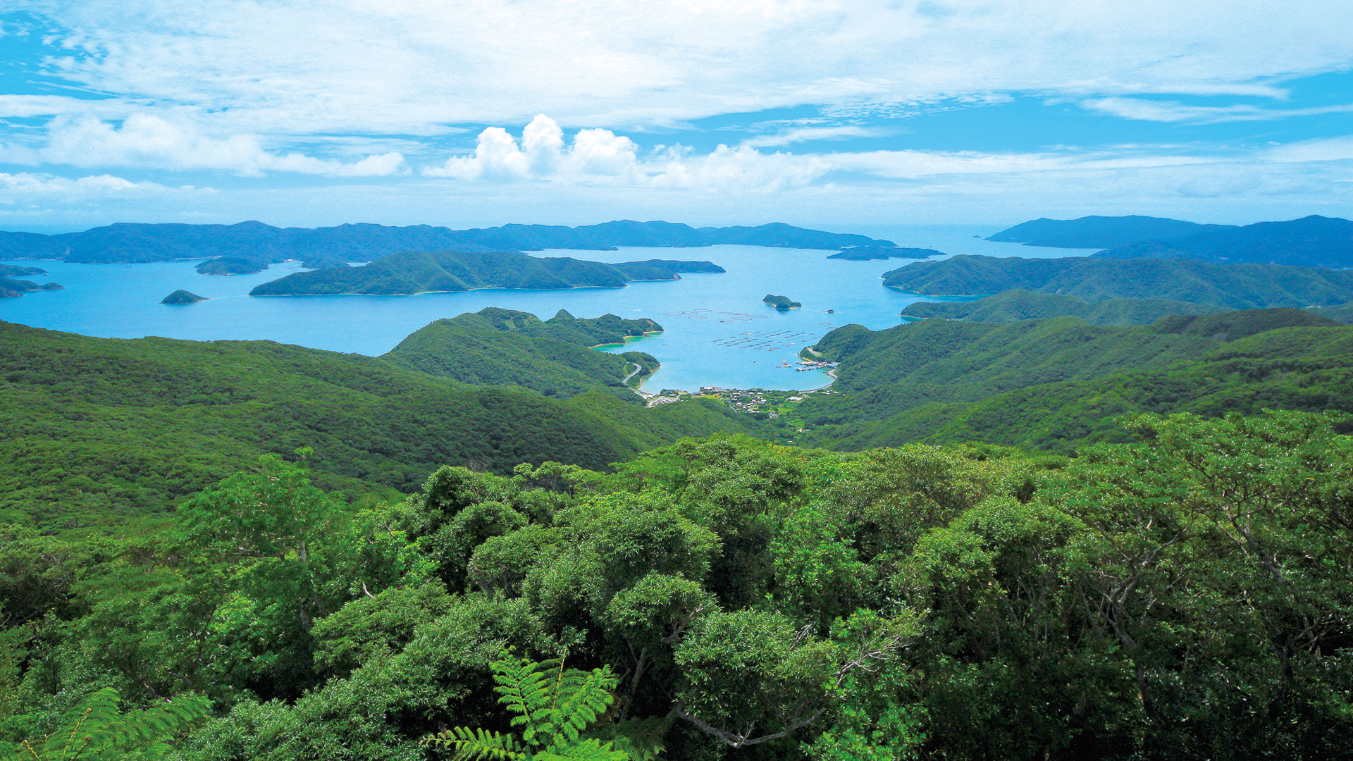 大島海峡